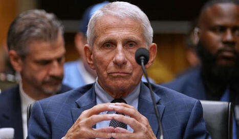 Indict Fauci now | John Lee | H&eacute;sitations Vaccinales: Observatoire HESIVAXs | Scoop.it