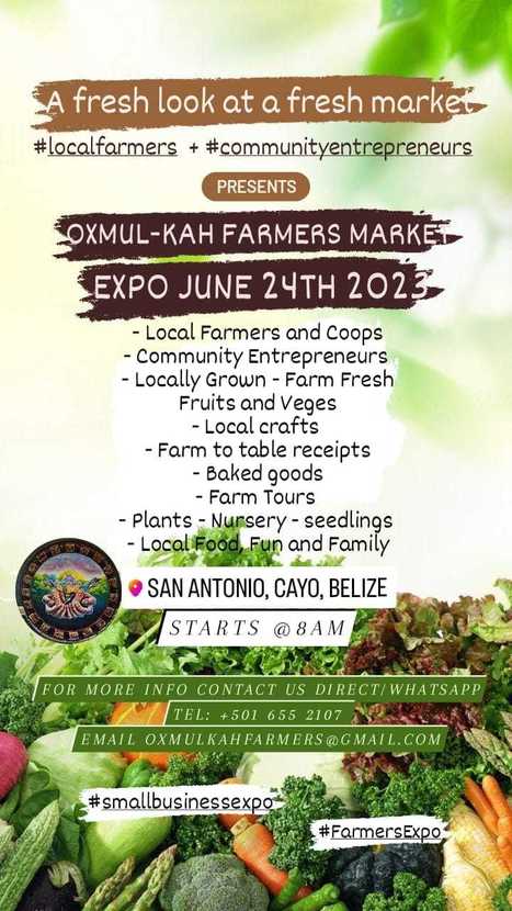 Oxmul-Kah Farmer's Market Expo | Cayo Scoop!  The Ecology of Cayo Culture | Scoop.it
