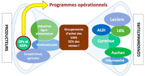 Aldi signe un contrat tripartite pour son lait de consommation bio