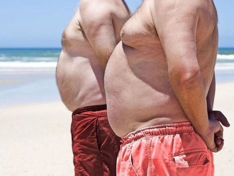 Obesity raises risk of 10 common cancers: study in The Lancet | Physical and Mental Health - Exercise, Fitness and Activity | Scoop.it