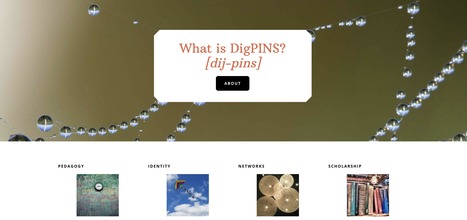What is DigPINS? | gpmt | Scoop.it