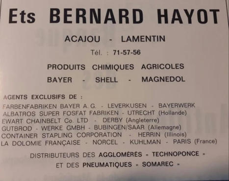 Bernard Hayot n'a JAMAIS investi un CENTIME dans le secteur de la BANANE en Martinique ...la PREUVE | Revue Politique Guadeloupe | Scoop.it