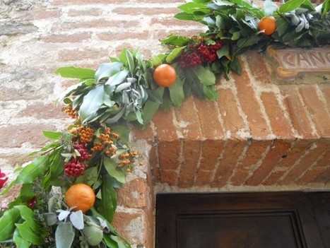 Decorazioni di Natale e Capodanno: bacche, alloro e frutta per festeggiare “naturalmente” | Orto, Giardino, Frutteto, Piante Innovative e Antiche Varietà | Scoop.it