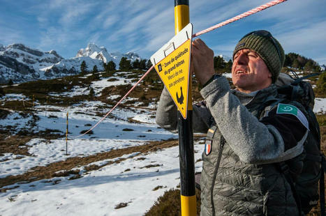 Les gardes du Parc national des Pyrénées alertent sur l’importance de garder ses distances avec les oiseaux | Biodiversité | Scoop.it