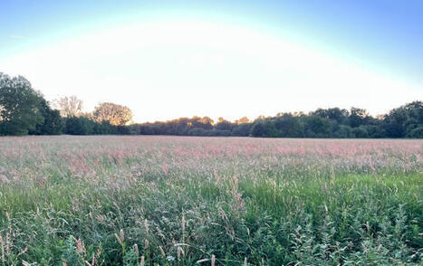 Les entreprises à l'heure des nouveaux récits | Revue de presse économique du Sud Touraine | Scoop.it