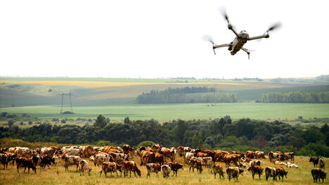 Drone en élevage : un outil utile pour les agriculteurs | Elevage et numérique | Scoop.it