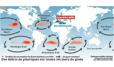 500 tonnes de plastique dans la Méditerrannée | Biodiversité - @ZEHUB on Twitter | Scoop.it