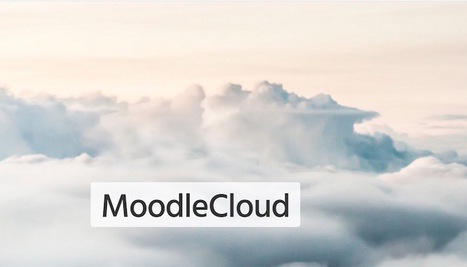 Do You Know What To Do About Bugs In Moodle Cloud? | mOOdle_ation[s] | Scoop.it