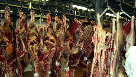 Des abattoirs touchés, mais Saint-Gaudens est épargné | La Gazette des abattoirs | Scoop.it