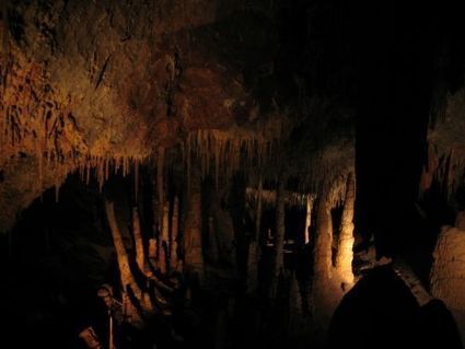 Une grotte aux conditions de vie extr&ecirc;mes, mais o&ugrave; la vie s&rsquo;&eacute;panouit | EntomoScience | Scoop.it