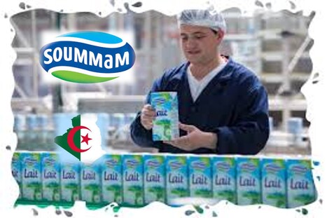 La Laiterie Soummam revendique la « plus grande ferme laitière » d’Algérie | Lait de Normandie... et d'ailleurs | Scoop.it