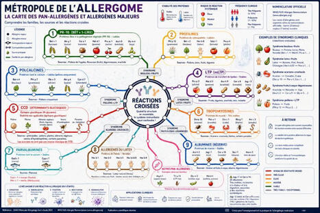 🧬 Molecular Allergology: A New Way of Understanding Allergic Diseases For many years, we simply referred to allergies as being caused by peanuts, peaches, house dust mites, shrimp, or latex. Toda... | Allergy (and clinical immunology) | Scoop.it