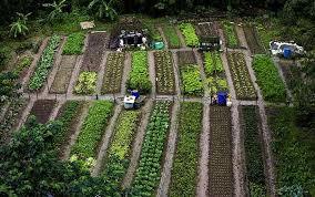 Copernicus : deux nouveaux services pour &eacute;valuer l'agro&eacute;cologie en Europe | Agroecologie et Syst&egrave;mes Alimentaires Durables | Scoop.it