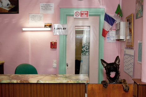 Martin Parr, The Goutte d’Or | Livres photo | Scoop.it