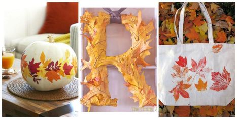 20 Gorgeous Ways to Craft with Fall Leaves | Arts & Crafts | Scoop.it