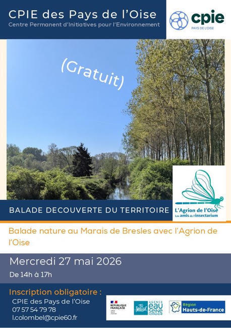 27 mai : Les insectes au marais et tourbi&egrave;res de Bresles | Vari&eacute;t&eacute;s entomologiques | Scoop.it