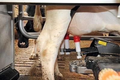 Prix du lait : Le ministre de l&rsquo;Agriculture nomme un m&eacute;diateur -  ouest-france.fr | Agriculture en Pays de la Loire | Scoop.it