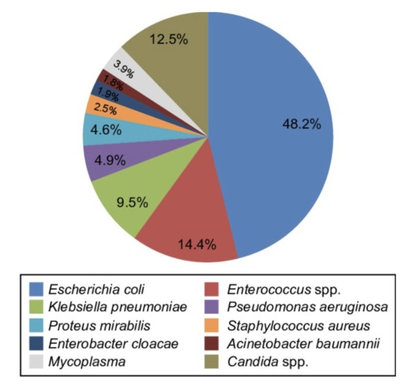 Urinary tract infections in patients with renal insufficiency and dialysis - epidemiology, pathogenesis, clinical symptoms, diagnosis and treatment | Peritoneal dialysis | Scoop.it