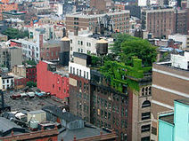 Le gouvernement supporte la toiture végétalisée | Build Green, pour un habitat écologique | Scoop.it
