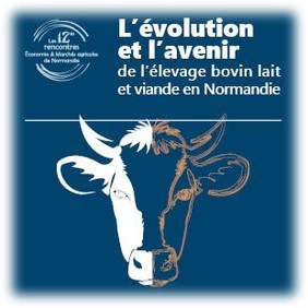 2013-2022 : Les systèmes bovins s’agrandissent et se (re)spécialisent en Normandie | Lait de Normandie... et d'ailleurs | Scoop.it