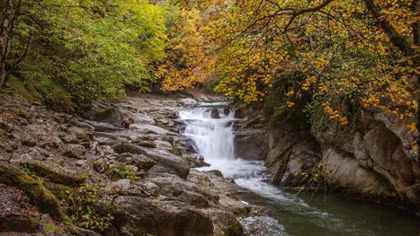 Un guide breton sur l'eau et la biodiversit&eacute; dans les plans locaux d'urbanisme (PLU, PLUi) | Lire, se documenter, savoir... Bibliographie portant sur nos th&eacute;matiques | Scoop.it