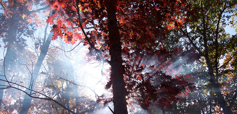 How to Complain Less | Linchpin Territory | Scoop.it