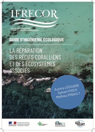 Nouveau guide sur la réparation des récifs coralliens et des écosystèmes associés - Ifrecor | Biodiversité | Scoop.it