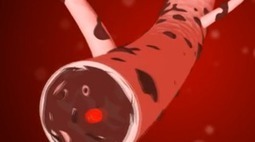Ebola : une vid&eacute;o explicative de deux minutes; claire pour tout le monde | Ressources d'apprentissage gratuites | Scoop.it