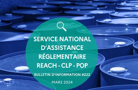 Lettre d’information mars 2024 du helpdesk REACH-CLP-POP | Ineris | Prévention du risque chimique | Scoop.it