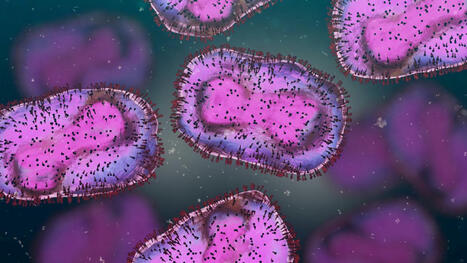 Cellule Émergence Mpox - ANRS | sida | Scoop.it