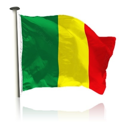 Mali : 2ème session du Comité de suivi du projet de Transformation des Sous-Produits d’Abattage (TSPA) : Des résultats encourageants | La Gazette des abattoirs | Scoop.it