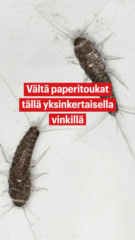 V&auml;lt&auml; paperitoukat yksinkertaisella vinkill&auml; | 1Uutiset - Lukemisen t&auml;hden | Scoop.it