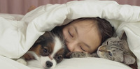 Chiens, chats et sant&eacute; mentale&nbsp;: &agrave; quel point les Fran&ccedil;ais sont-ils attach&eacute;s &agrave; leurs animaux de&nbsp;compagnie&nbsp;? | CREADOC Nice | Scoop.it