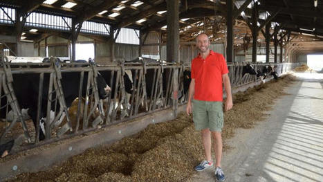 Il choisit des taureaux sans cornes pour son troupeau Holstein | Actualité Bétail | Scoop.it