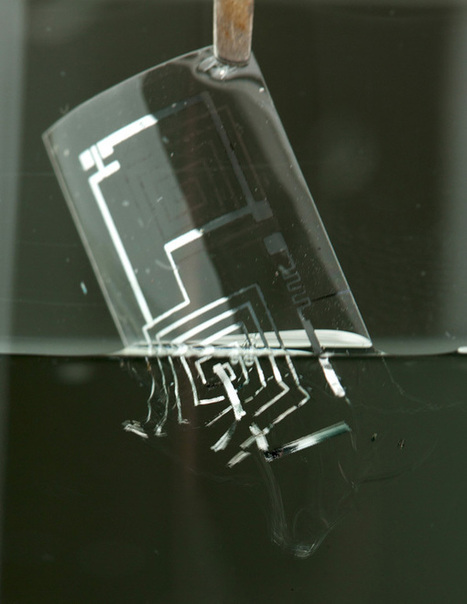 Kurzweil : "Biodegradable electronics that vanish in the body | Ce monde à inventer ! | Scoop.it