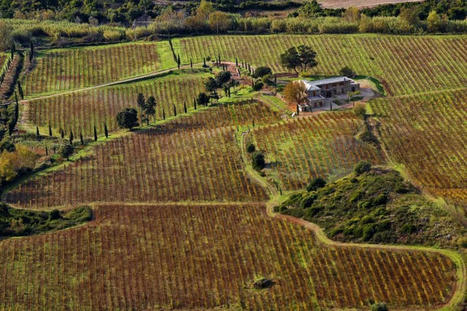 Pesticides près des maisons : l’État toujours trop laxiste - Reporterre.net | Gestion Durable des Ressources | Scoop.it
