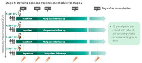 Vaccines | Free Full-Text | Evaluation of the Safety, Tolerability and Immunogenicity of ShigETEC, an Oral Live Attenuated Shigella-ETEC Vaccine in Placebo-Controlled Randomized Phase 1 Trial | Mucosal Immunity | Scoop.it