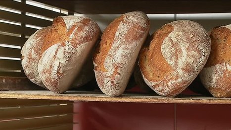 Le pain, élément incontournable de l'alimentation - France 3 Nouvelle-Aquitaine | Ingrédients de boulangerie pâtisserie | Scoop.it