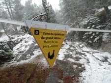 Journées d'informations et de connaissance de la faune sauvage en hiver | Vallées d'Aure & Louron - Pyrénées | Scoop.it