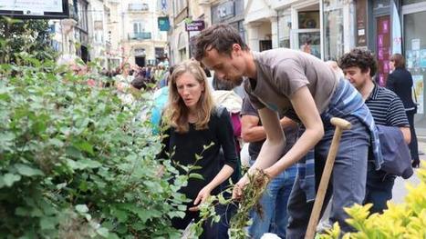 Ouest France : "Des légumes plantés dans les parterres du centre-ville du Mans | Ce monde à inventer ! | Scoop.it