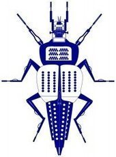 Rennes Pasteur. Anima (Ex) Musica - Le bestiaire utopique | Variétés entomologiques | Scoop.it