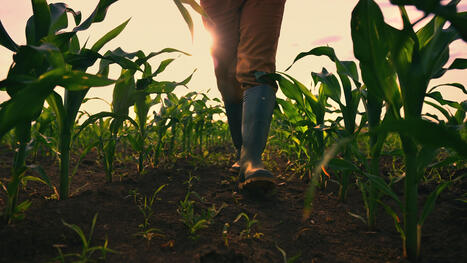 Seine-et-Marne : TotalEnergies accorde 500 000 &euro; &agrave; des projets agricoles - Le Moniteur de Seine-et-Marne | Paysage - Agriculture | Scoop.it