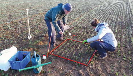 Des pesticides retrouvés dans les vers de terre | Espace des sciences | SCIENCES DU VEGETAL | Scoop.it