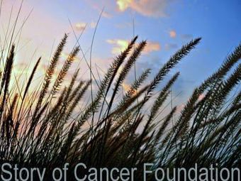 Story of Cancer Foundation Website Launch - How Stories Cure Cancer | Curation Revolution | Scoop.it