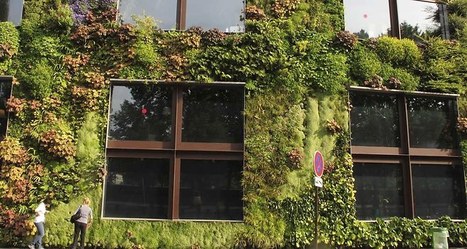 Paris veut v&eacute;g&eacute;taliser ses&nbsp;murs et ses toits | Dynamiques Territoriales, Am&eacute;nagement et Villes Connect&eacute;es | Scoop.it