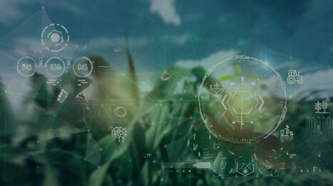 ASIA: New Zealand and Saudi Arabia’s expanding partnership in tech and griculture  | ASIES | Scoop.it