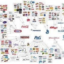 10 Corporations Control Almost Everything You Buy | Infographic | BI Revolution | Scoop.it