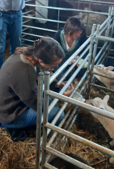 Vis ma vie d’agriculteur à Frameries : « J’ai repris la ferme sans arrêter ma profession, ce serait tout bonnement impossible d’en vivre » | Ecodéveloppement territorial | Scoop.it
