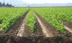 Namibie : Des parlementaires allemands en visite dans des projets agricoles  | AFRIQUES | Scoop.it