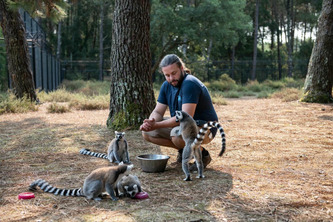 Canicule dans les Landes : comment le zoo de Labenne s’organise face aux vagues de chaleur ? | Landes - Conseils municipaux & communautaires | Scoop.it